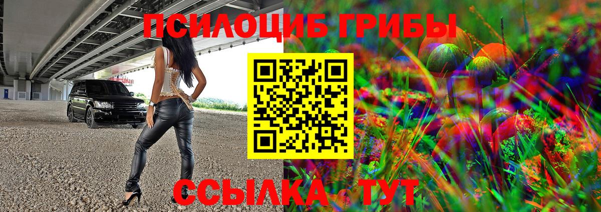 Псилоцибиновые грибы Psilocybe  Вход с VPN  Тула 